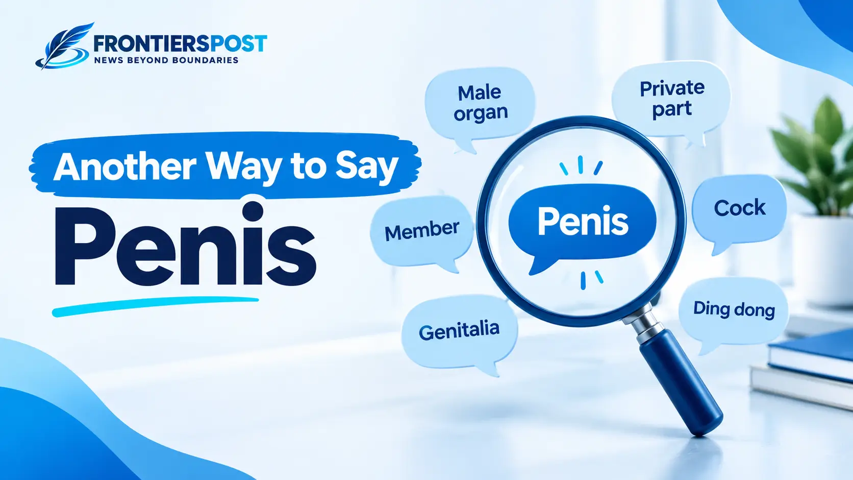 Another Way to Say Penis