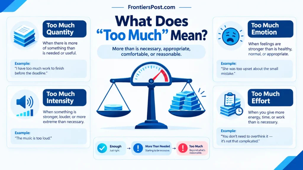 Infographic explaining the meaning of too much and how it describes quantity, intensity, emotion, and effort